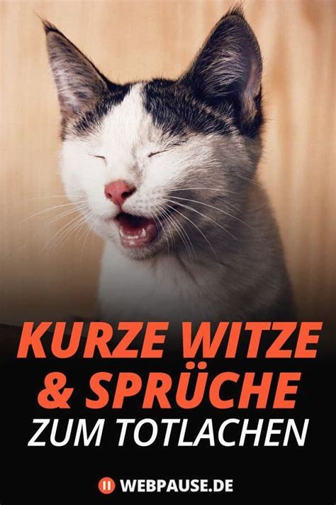 witze zum totlachen|Lach dich schlapp: Die 145 besten kurzen Witze aller。